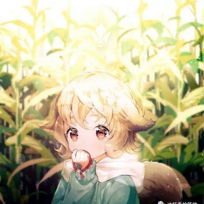 北京西城新晋打卡顶流
